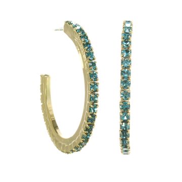 Slim Hoop Earrings in Indicolate
